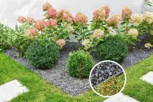 Plastikinis bortelis