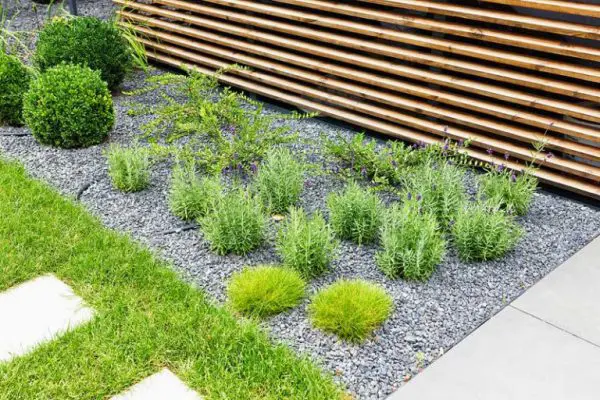 Plastikinis bortelis