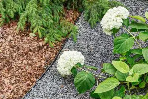 Plastikinis bortelis