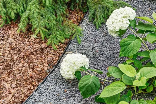 Plastikinis bortelis