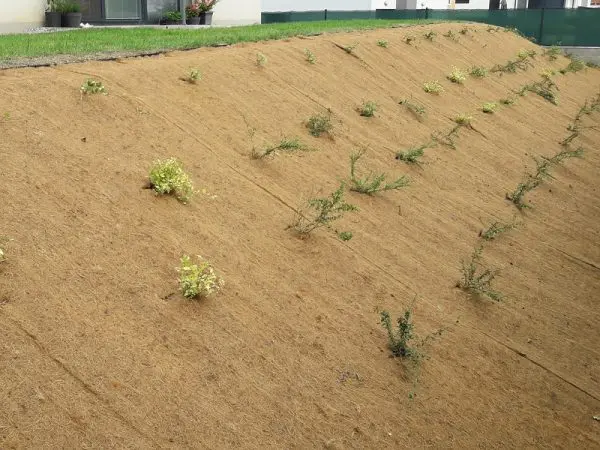 Šlaitų tvirtinimas kokoso pluoštas Vilnius Kaunas Lietuva