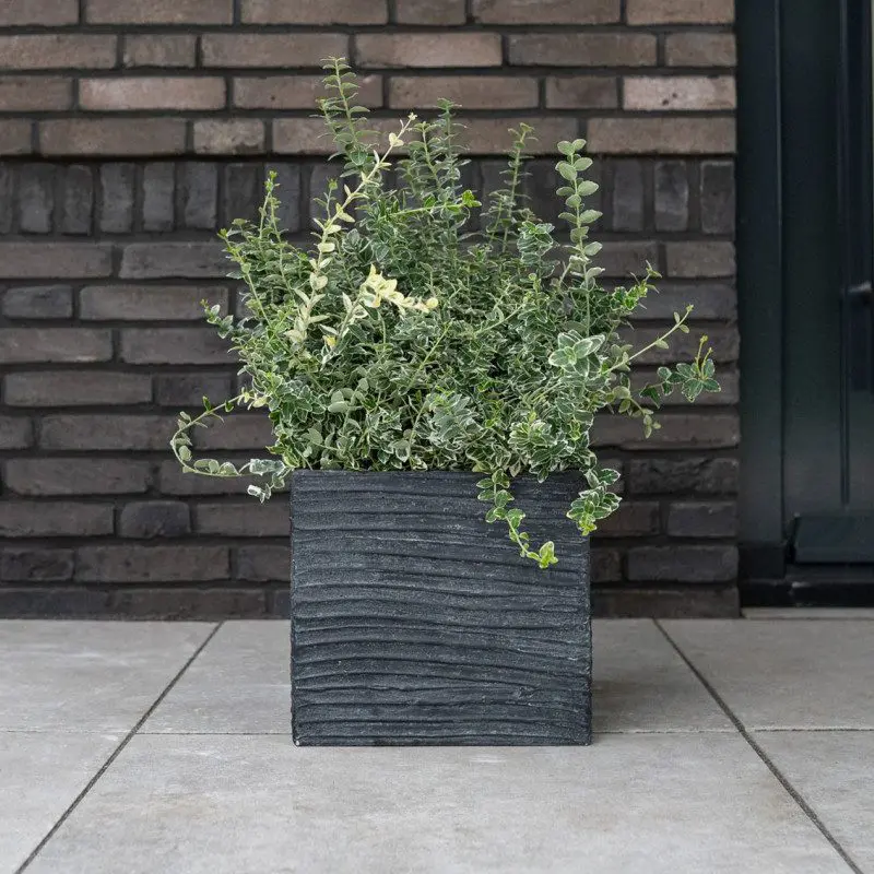 VAZONAS BORIS BLACK, 36 X 36, H34 Vilnius