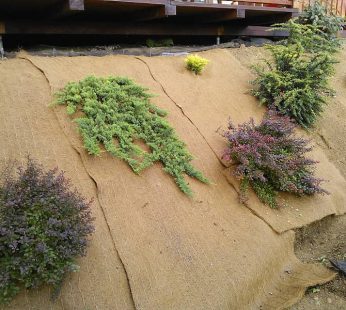 Kokoso pluošto priešerozinis tinklas (rulonas 2,4×50 m)